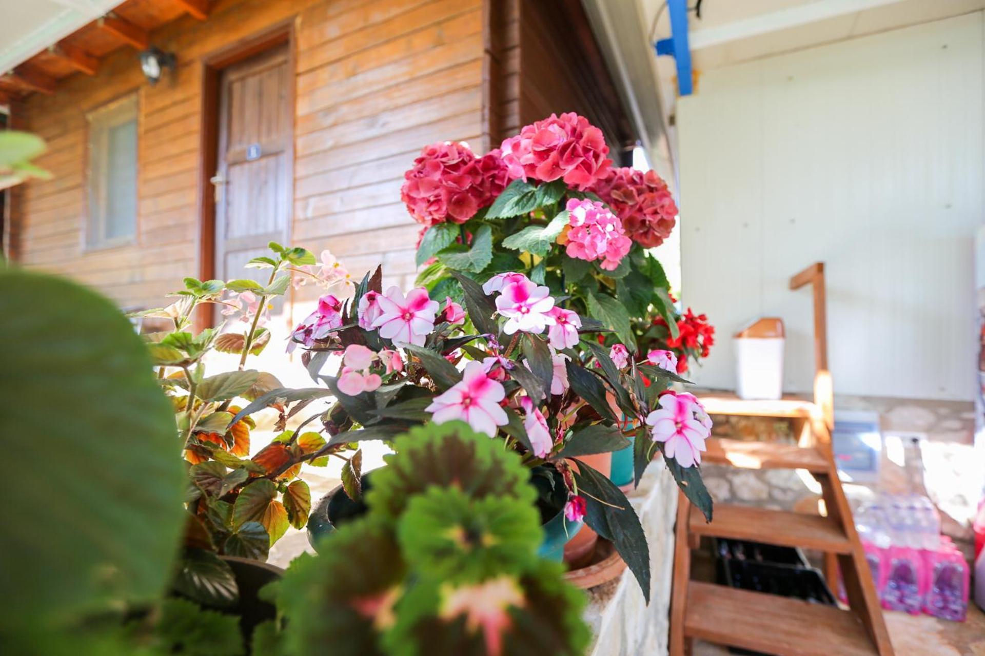 Holiwood Motel Химар Екстериор снимка