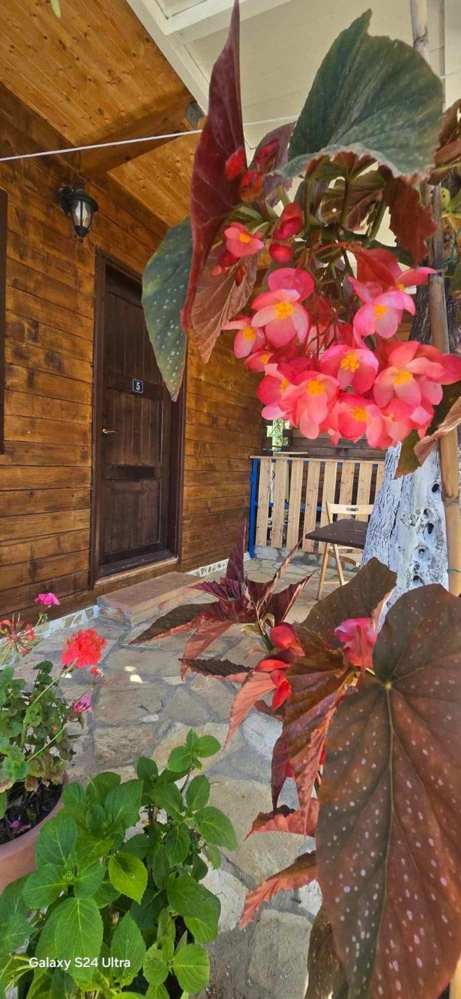 Holiwood Motel Химар Екстериор снимка